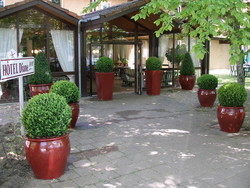 Décoration Balcon Terrasses : Fleurs plantes végétaux