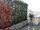 Décoration Balcon Terrasses : Fleurs plantes végétaux