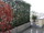 Dcoration Balcon Terrasses : Fleurs plantes vgtaux