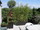 Dcoration Balcon Terrasses : Fleurs plantes vgtaux