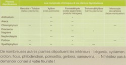 Les plantes dpolluantes