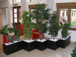 Plantes artificielles