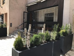 Les restaurants végétalisent leur terrasse!