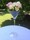 Décoration vase "Martini"